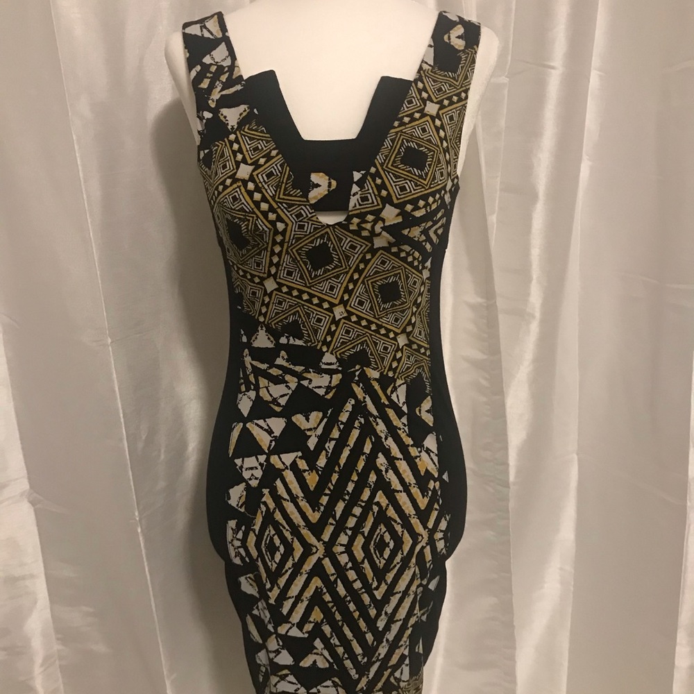 BCBG bodycon dress